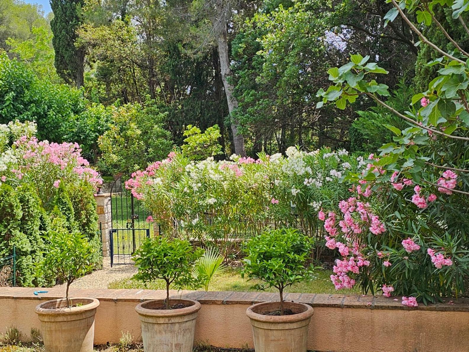 Appartement Manoir De Duke - Piscine, Parc Arbore, Clim, Parking Gratuit